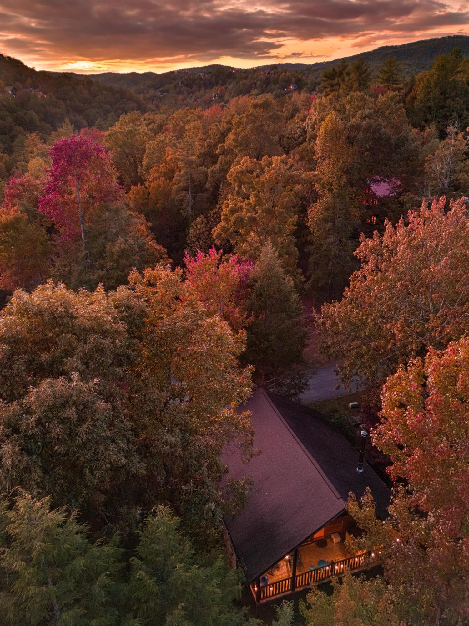 Love Me Tender Studio Cabin Сивиървил Екстериор снимка